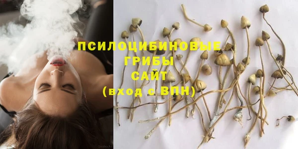 дурь Алексин