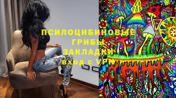 не бодяженный Алзамай
