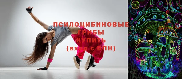 дурь Алексин