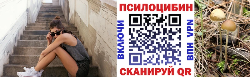 Псилоцибиновые грибы Cubensis  дарк нет наркотические препараты  Спасск-Рязанский  где продают  